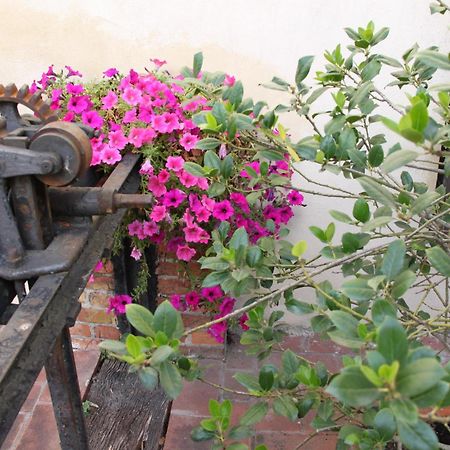 La Vecchia Cartiera Hotel Colle Val D'Elsa Exterior photo