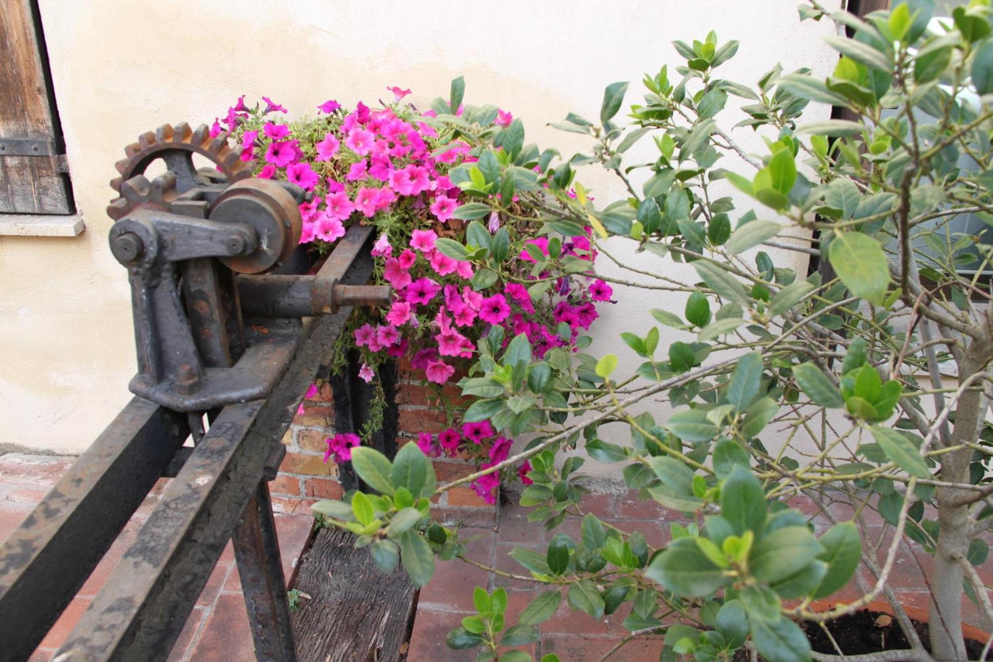 La Vecchia Cartiera Hotel Colle Val D'Elsa Exterior photo